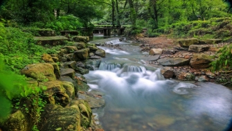 讓天更藍，水更清——浙江扎實(shí)做好中央生態(tài)環(huán)保督察整改綜述